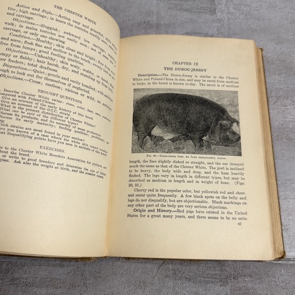 Lippincott's Farm Manuals Productive Swine Husbandry G. E.‎ Day 1913 Pigs Book - Picture 8 of 16
